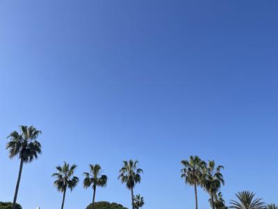 Service staff and kitchen staff