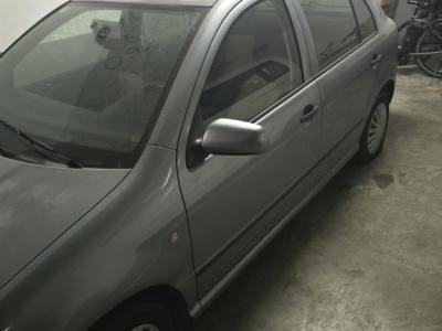Skoda Fabia 6 Y