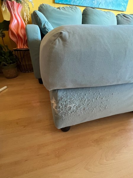 Sofa zu verschenken