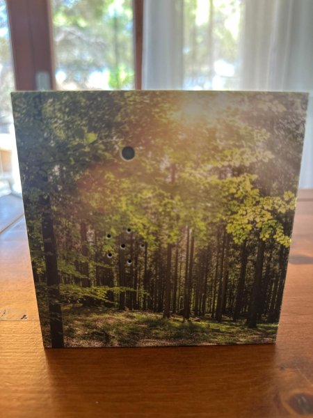 Soundbox 'Wald' Bewegungssensor  Ideal für das "stille Örtchen"