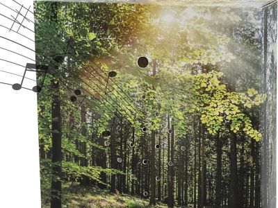 Soundbox 'Wald' Bewegungssensor  Ideal für das "stille Örtchen"