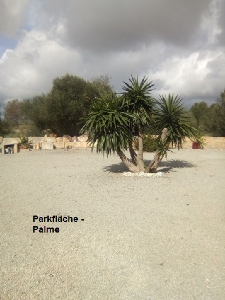 Spain.Mallorca.Llucmajor. Beautiful rustic finca for sale. Legal. Residence-and registration address.