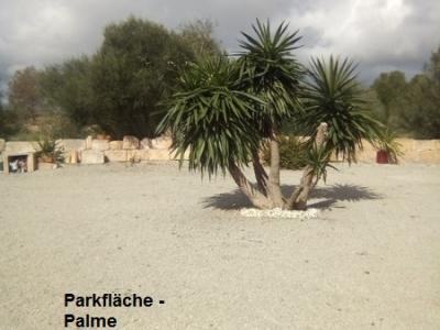 Spain.Mallorca.Llucmajor. Beautiful rustic finca for sale. Legal. Residence-and registration address.