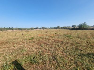 Spektakuläres Landhaus mit Meer- und Bergblick – 5 Min. von Porto Cristo