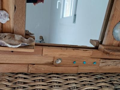 Spiegel mit Holzrahmen Treibgut und Muscheln