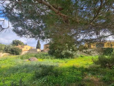 Städtisches Grundstück zum Verkauf – Sa Coma 🏡