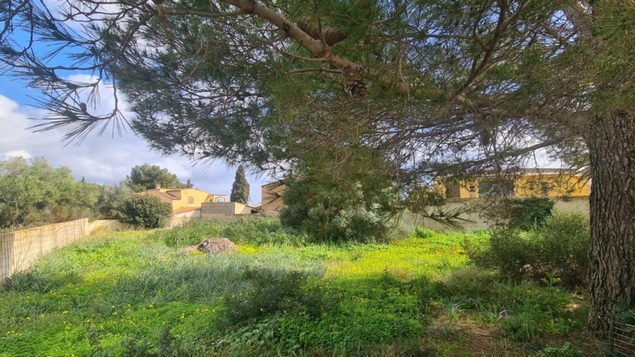 Städtisches Grundstück zum Verkauf – Sa Coma 🏡