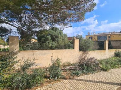 Städtisches Grundstück zum Verkauf – Sa Coma 🏡