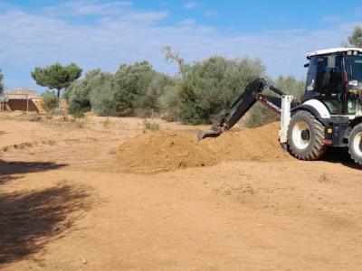 Ställe, Schuppen, Dächer, Reitanlagen