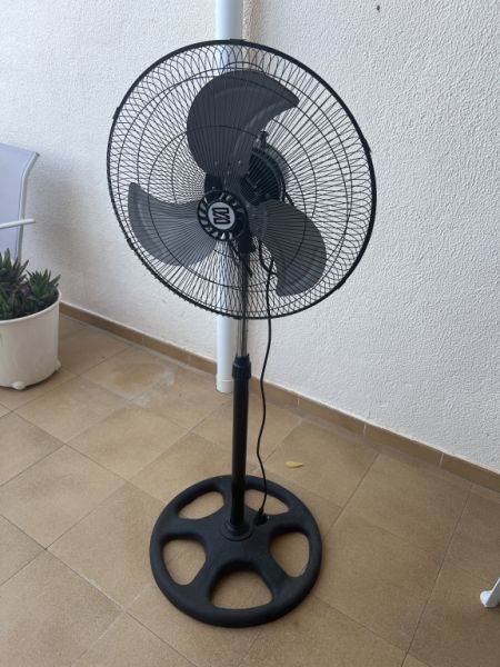 Pedestal fan