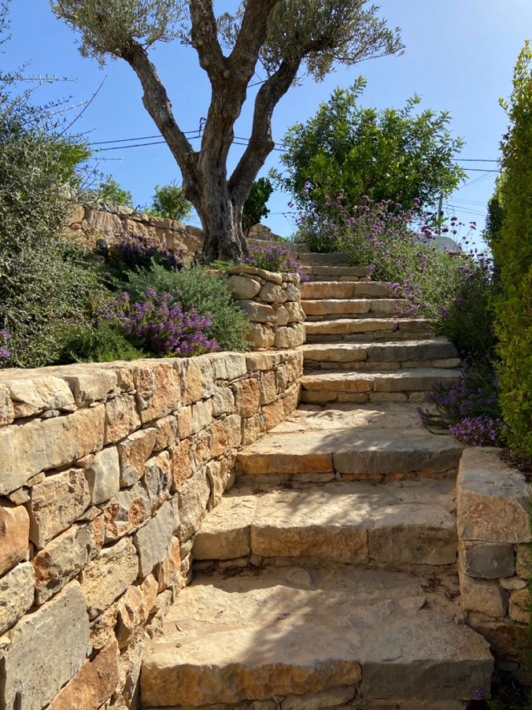 Muros de piedra y vallados de fincas