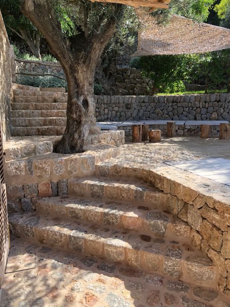 Muros de piedra y vallados de fincas
