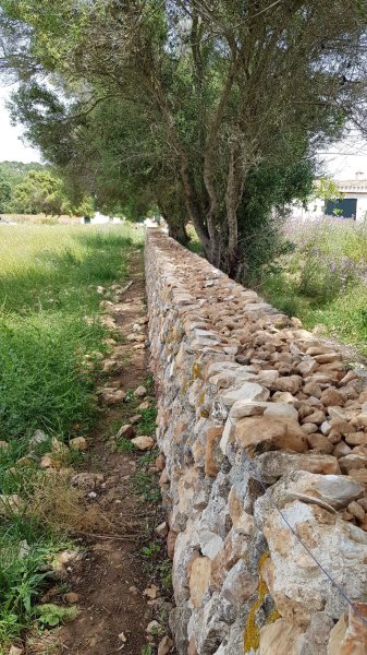 Muros de piedra y vallados de fincas