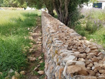 Muros de piedra y vallados de fincas