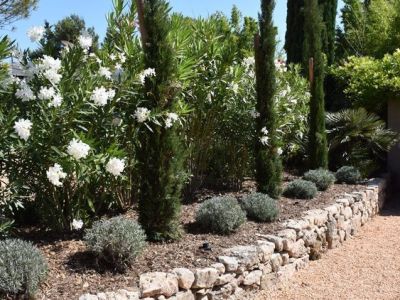 Muros de piedra y vallados de fincas