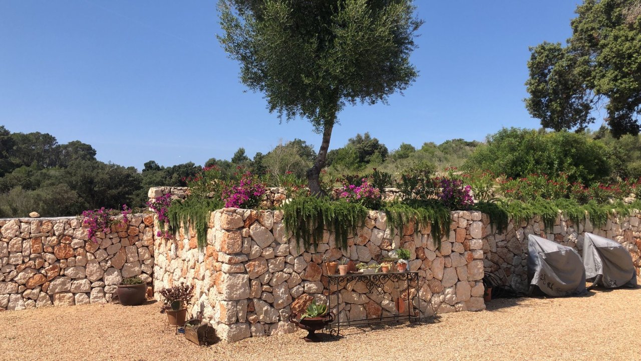 Muros de piedra y vallados de fincas