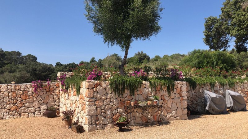 Muros de piedra y vallados de fincas