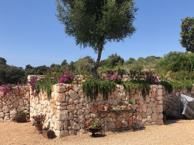 Muros de piedra y vallados de fincas