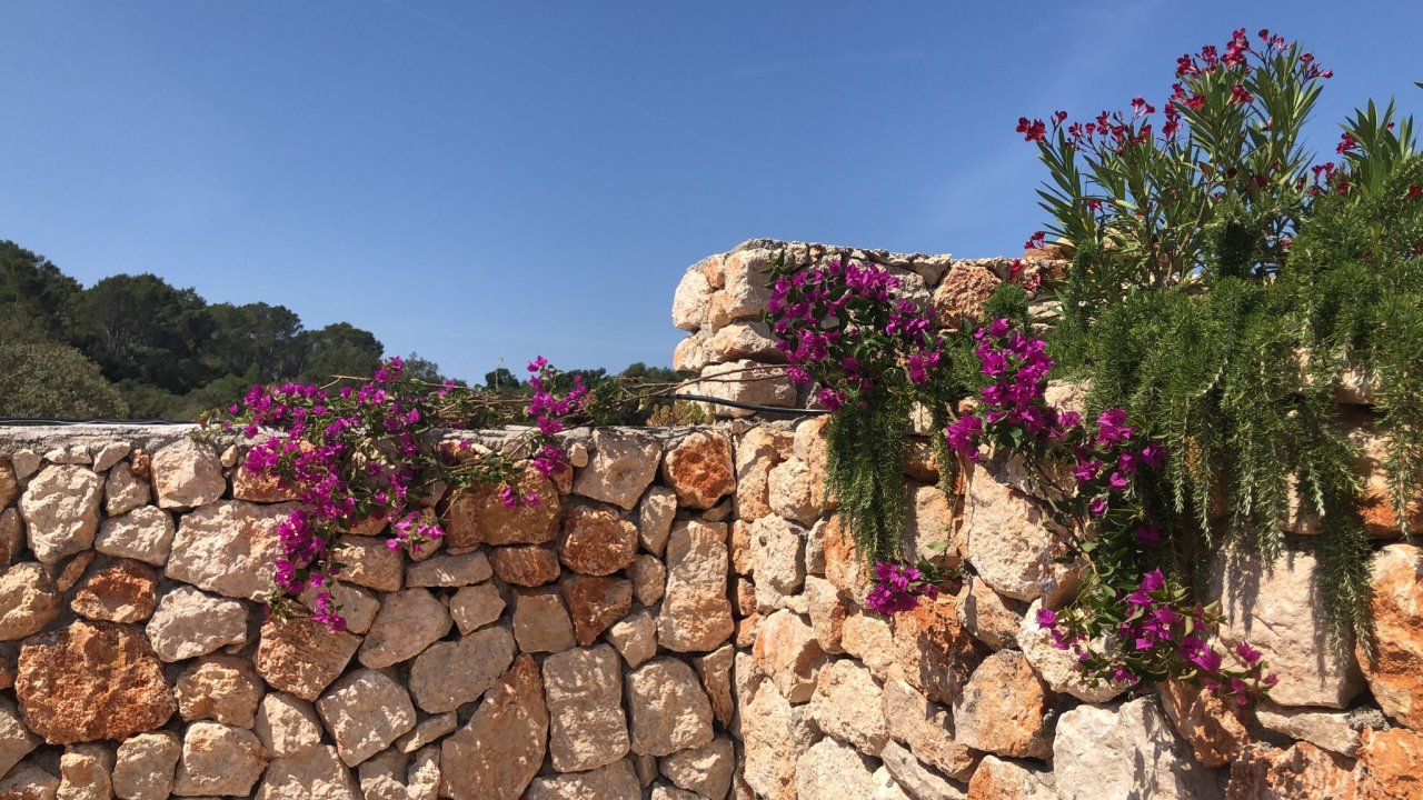 Muros de piedra y vallados de fincas