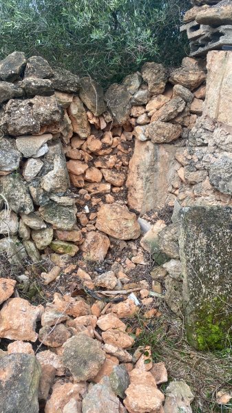 Muros de piedra y vallados de fincas