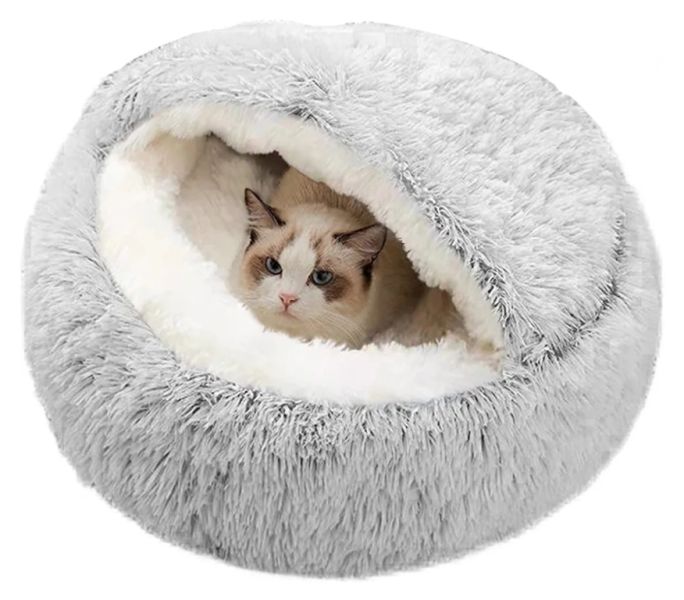 STRAßENKATZEN brauchen dringend HILFE