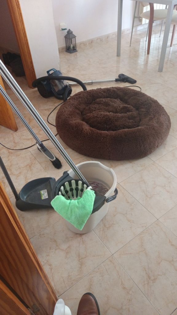 Limpieza de pisos por hora