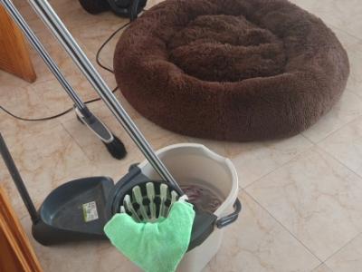 Limpieza de pisos por hora