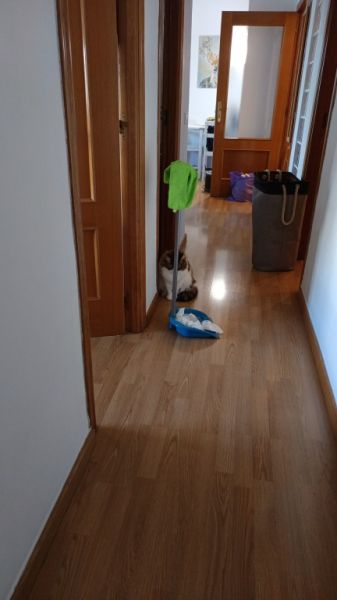 Limpieza de pisos por hora