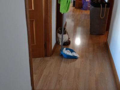 Limpieza de pisos por hora