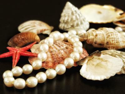 Suche Artikel/Produkte für meinen Online-Shop