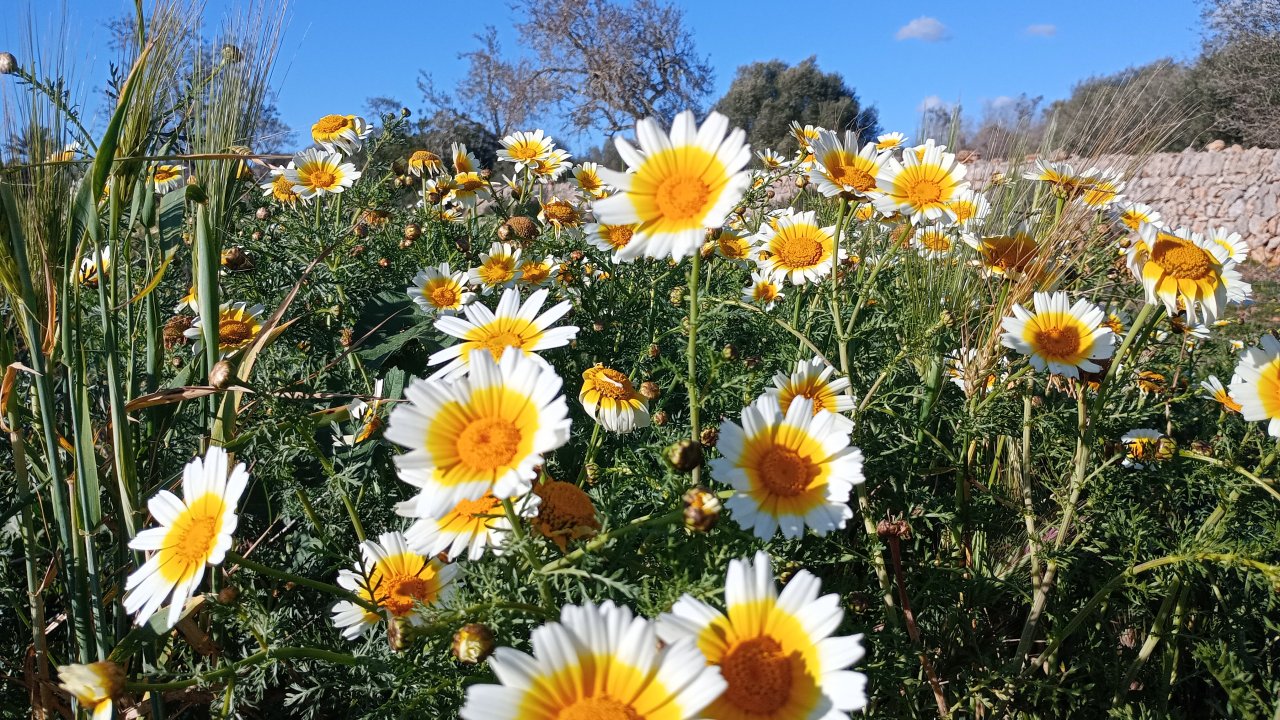 Looking for investors with vision and foresight