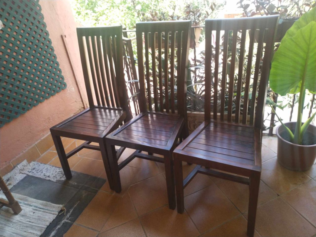 Suche Mahagoni Stühle