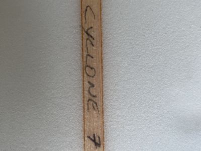Surfboard