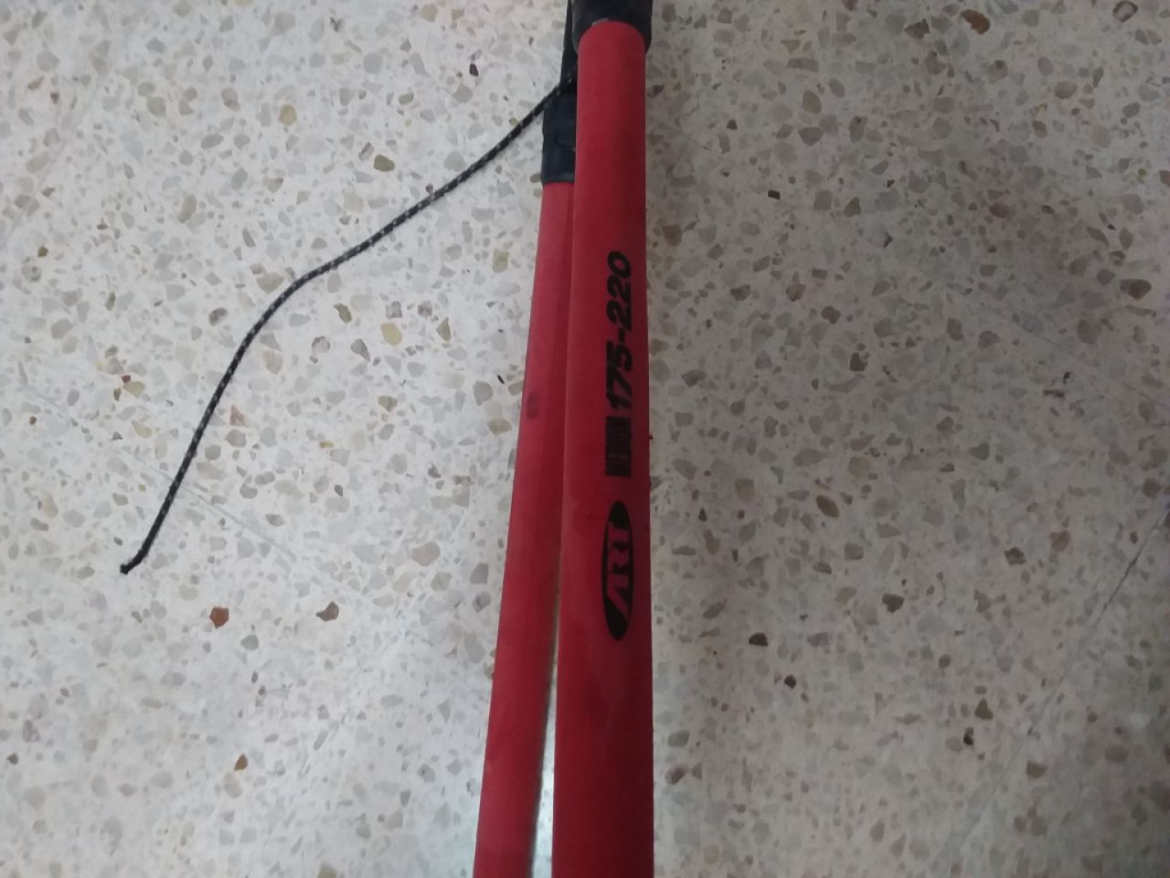 Surfgabelbaum en venta