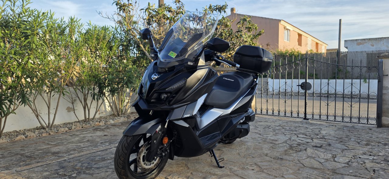 SYM Cruisym 300 E5 TCS nur 818 km 1. Hand ITV neu Zubehör inklusive