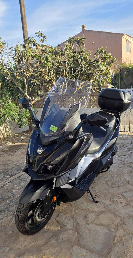 SYM Cruisym 300 E5 TCS nur 818 km 1. Hand ITV neu Zubehör inklusive