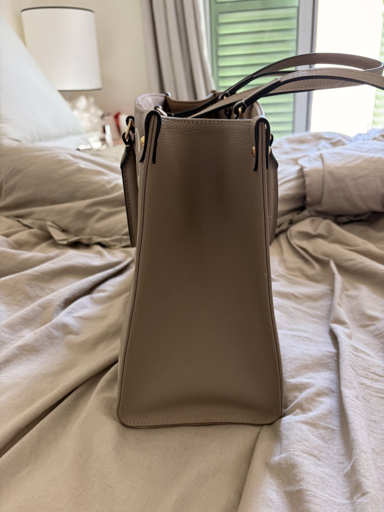 LV bag