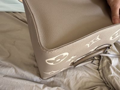 LV bag