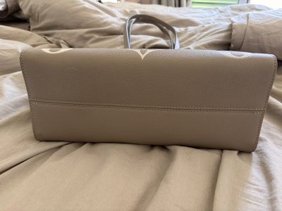 LV bag