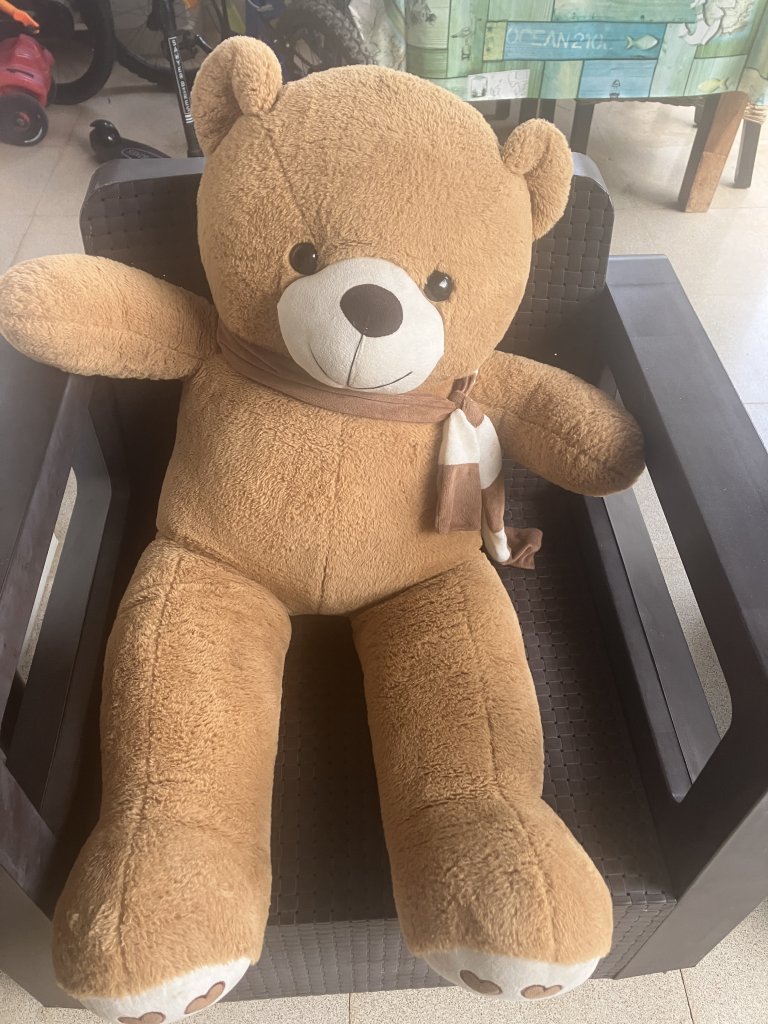 Teddybär