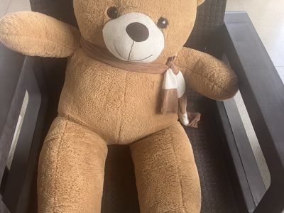 Teddybär