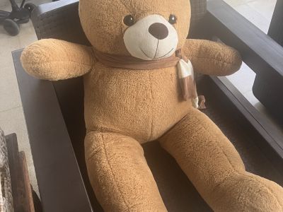 Teddybär