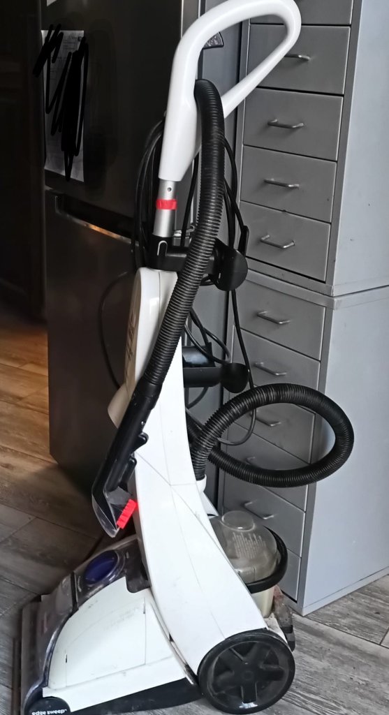 Teppichreiniger