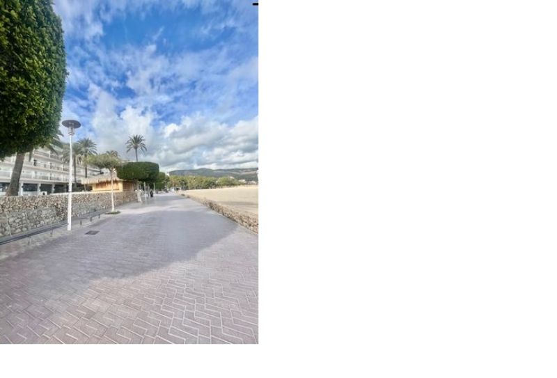 Terrenova - Wohnung renoviert in erster Meereslinie.