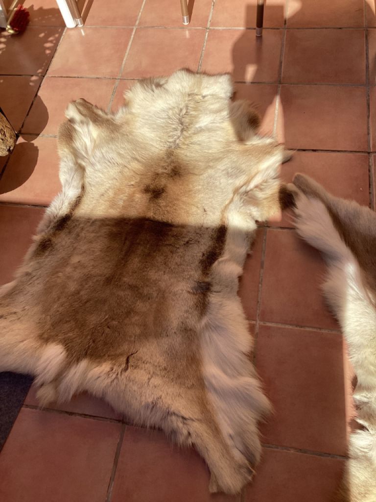 Tierfell, Echthaar, Rentierfell, Winterfell, Dekofell, Stuhlfell, Wanddeko, Holzbankauflage