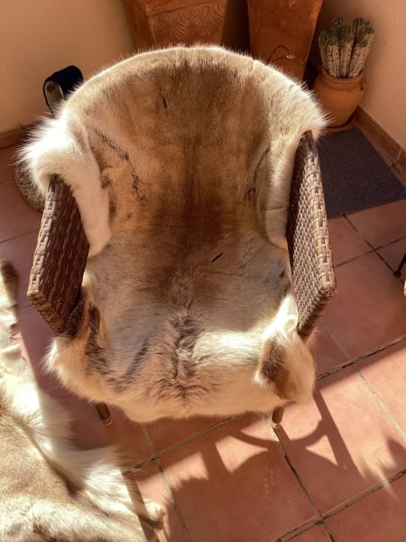 Tierfell, Echthaar, Rentierfell, Winterfell, Dekofell, Stuhlfell, Wanddeko, Holzbankauflage