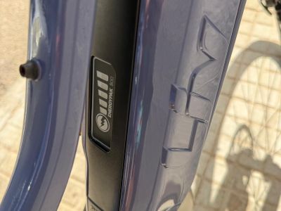 Great Liv/Giant women's e-bike size XS lightly used 500 w