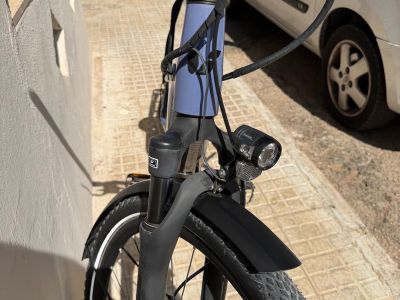 Great Liv/Giant women's e-bike size XS lightly used 500 w