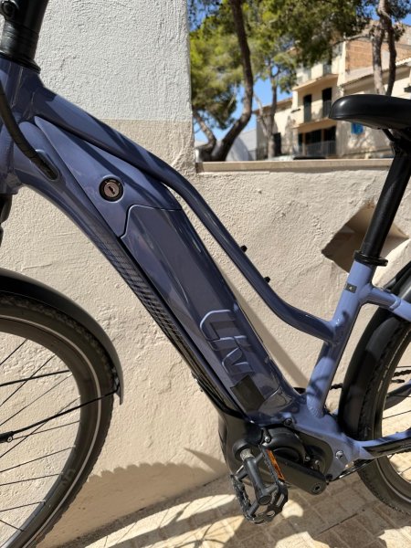Great Liv/Giant women's e-bike size XS lightly used 500 w