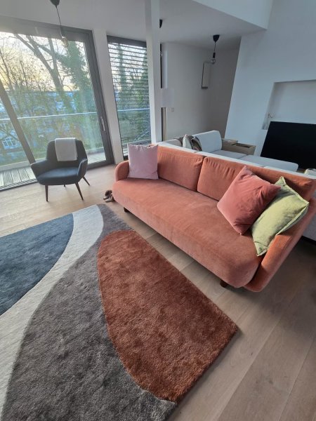 Top Designer-Sofa (ausziehbar) mit Sessel und passendem Teppich